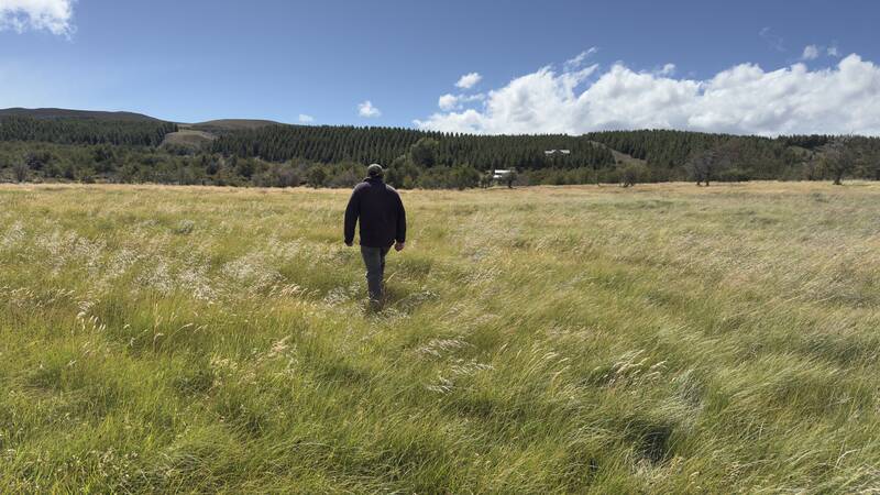 Panorámica del Fundo Las Vertientes