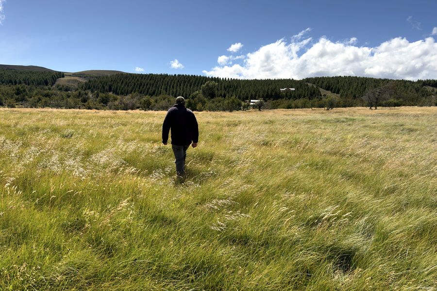 Fundo Las Vertientes - Foto 33