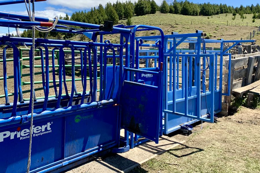 Fundo Las Vertientes - Foto 35