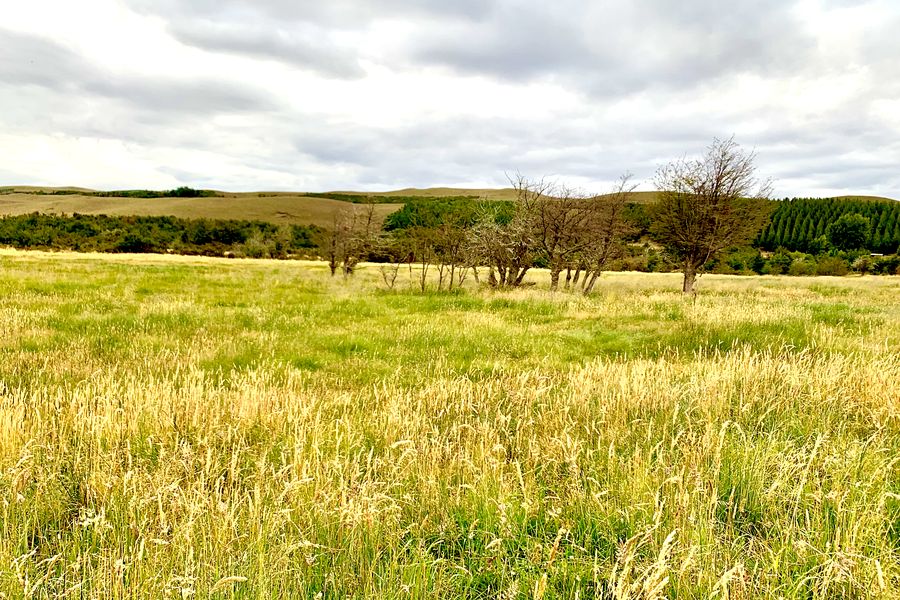 Fundo Las Vertientes - Foto 41