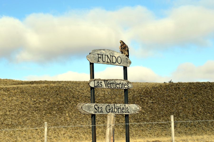 Fundo Las Vertientes - Foto 44