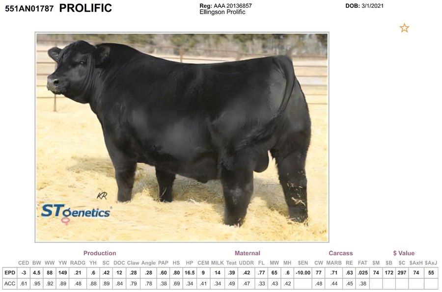 551AN01787 PROLIFIC — Ficha técnica STgenetics / AAA 20136857