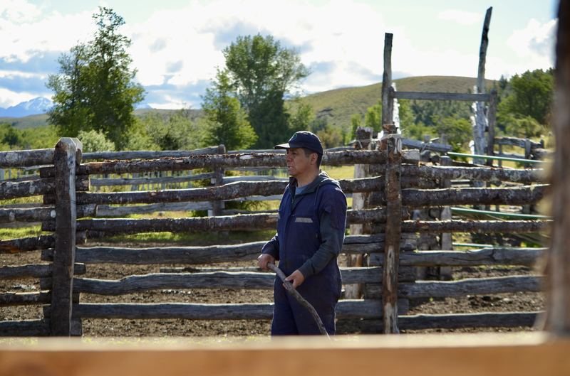 Bladimir Calderón - Inseminación #1