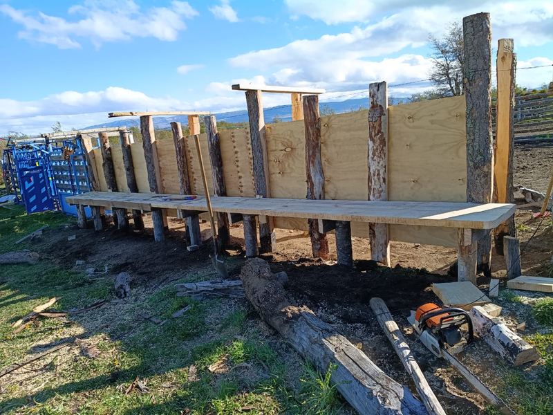 Víctor Manuel González - Fundo Las Vertientes #1