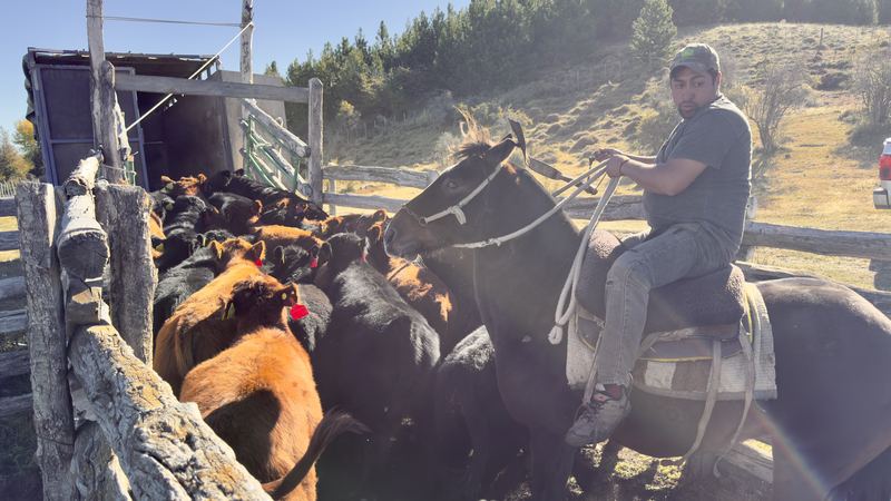 Víctor Manuel González - Fundo Las Vertientes #5