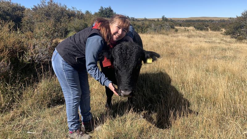 Verónica Araya - Fundo Las Vertientes #8