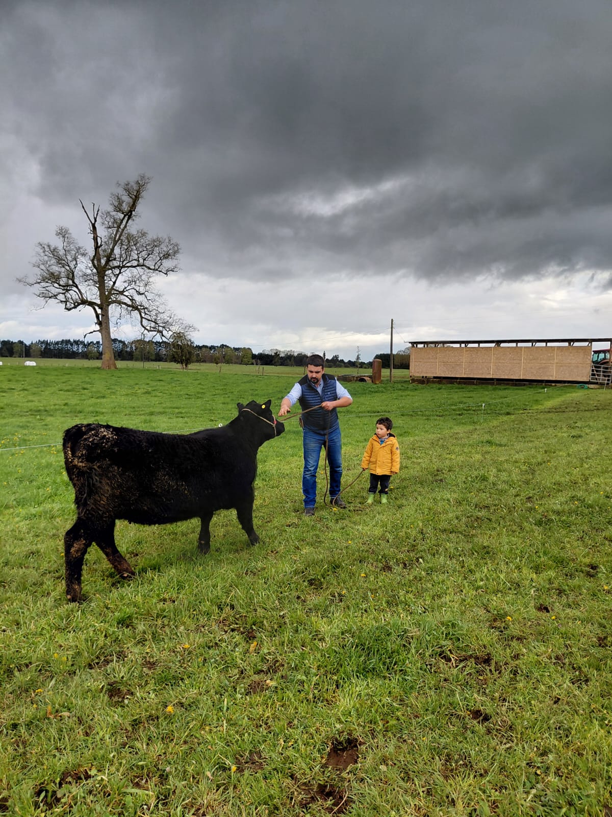 Felipe González - Trabajo en terreno #5