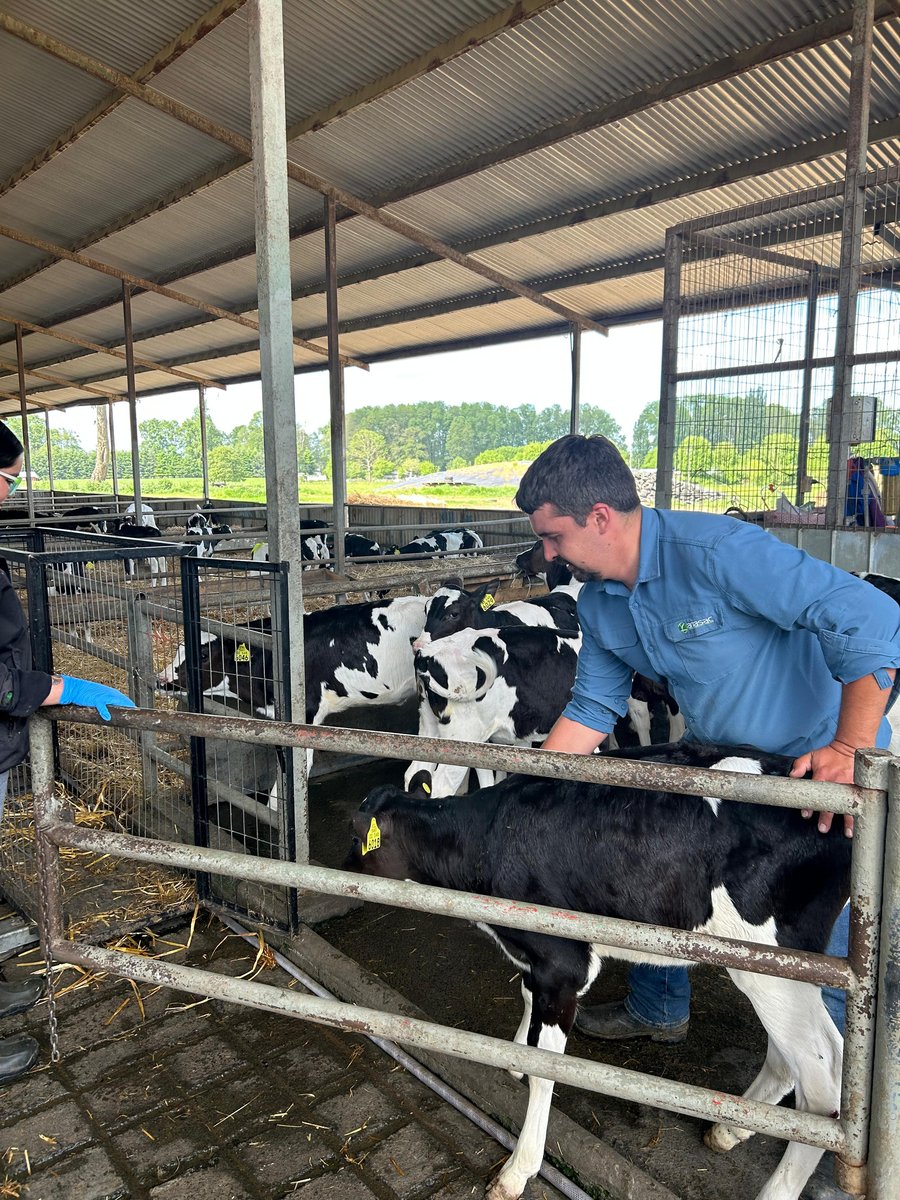 Felipe González - Trabajo en terreno #8